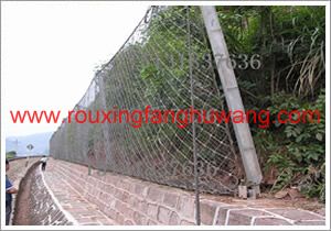 由钢丝绳网、固定系统（锚杆、拦锚绳、基座和支撑绳）、减压环和钢柱四个主要部分构成的被动防护网