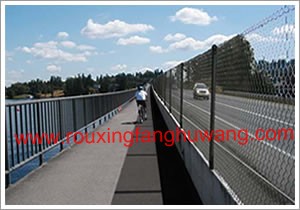 一个骑着自行车的人正在行驶在一边安着铁艺护栏网一边安装着勾花桥梁护栏网的桥梁便道上
